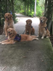 4 GAD Dogs at Mounts