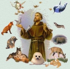 The 16th Annual Blessing of the Animals @ St. Patrick Catholic Church | Palm Beach Gardens | Florida | United States