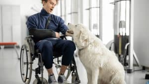 Person in wheelchair with dog in gym.