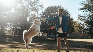 Man playing with jumping dog in park.