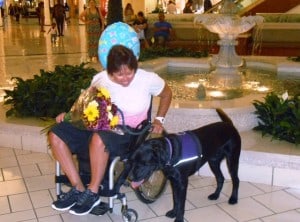 Pass the Leash Jac 2