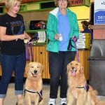 bark N Bath clean dogs at roger dean stadium