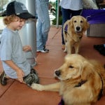 child with two assistance dogs