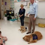 assistance dogs in classroom