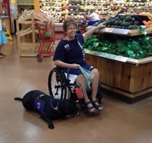 Jac, a Genesis Assistance Dog Mobility Dog, grocery shops with his partner.