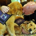 Eagle, service dog in training, and Mason working their magic.