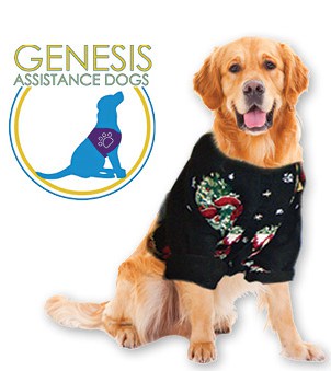 Dog in Ugly Sweater
