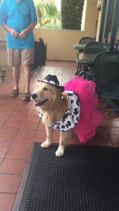Mobility Service Dog, Mysti, as a Cowgirl