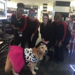 Genesis Assistance Dog Mysti, mobility service dog, poses with the Sephora team on Halloween. Mysti was decked out as a cowgirl.