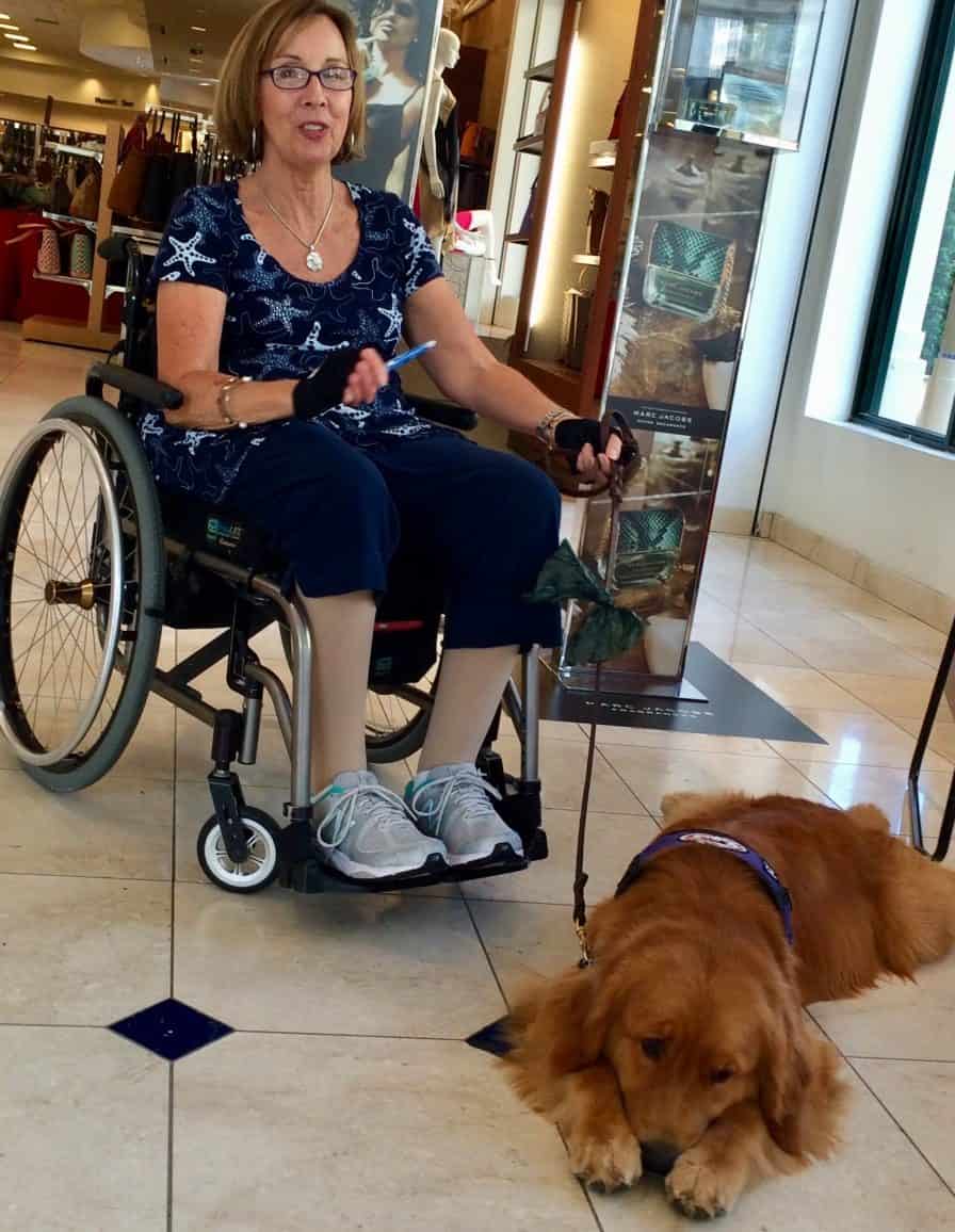 Genesis Assistance Dogs, Inc. - Another win for service dogs ...