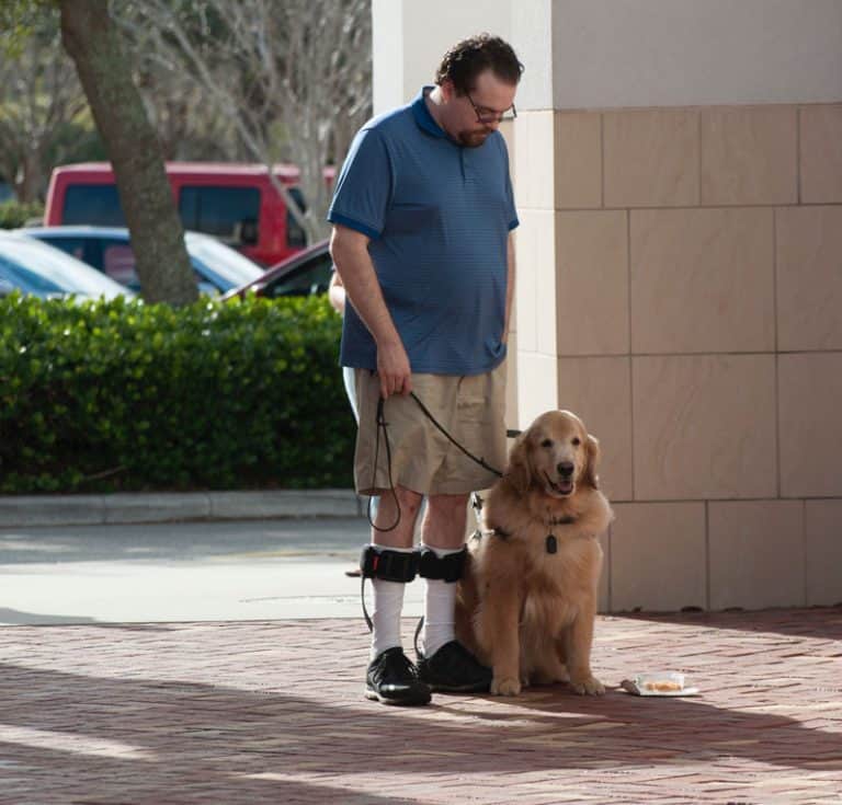 Frequently Asked Questions Assistance and Service Dogs Florida