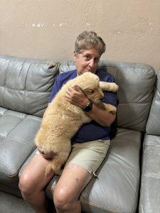 Person cuddling a fluffy golden retriever puppy on couch.