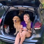 Woman and golden retrievers in car hatchback.