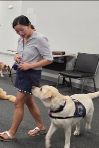 Woman walking service dog in training room.