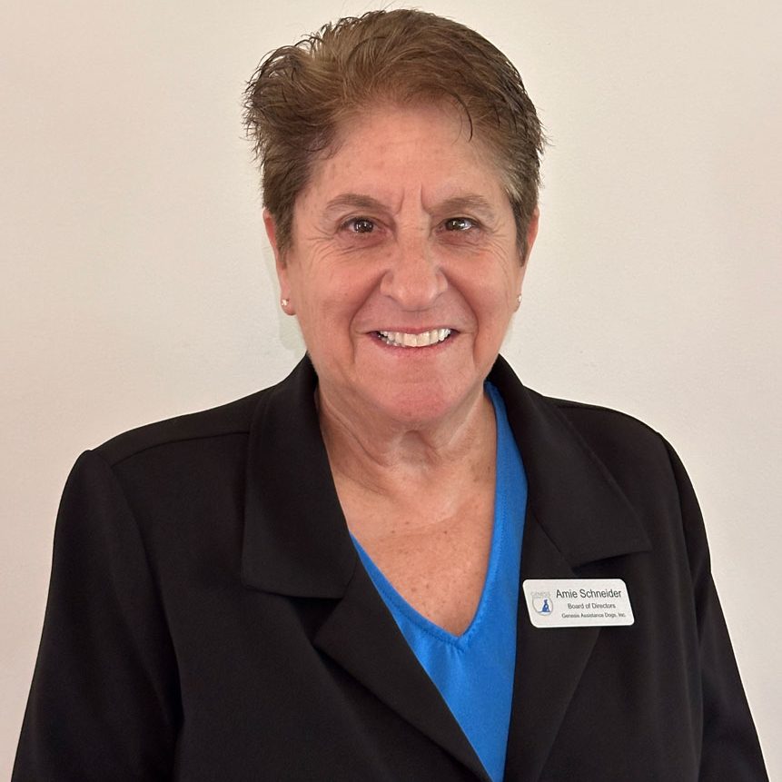 Amie-Schneider