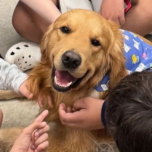 Smiling golden retriever surrounded by children petting